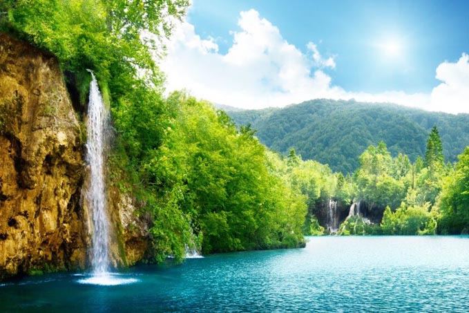 Cure Helath Provides Online Naturopathy Treatments By Well Experienced Naturopathy Doctor To Cure Your All The Health Problem At Your Home By Natural Way Without Medicine And Without Any Side Effect